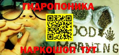 шишки Ливны