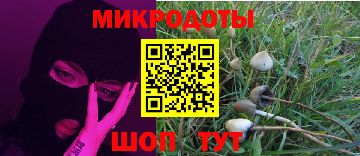 Псилоцибиновые грибы Cubensis Алапаевск