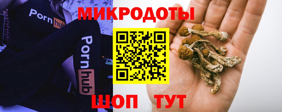 Алапаевск  продажа наркотиков  Вход с VPN  Псилоцибиновые грибы Psilocybe 